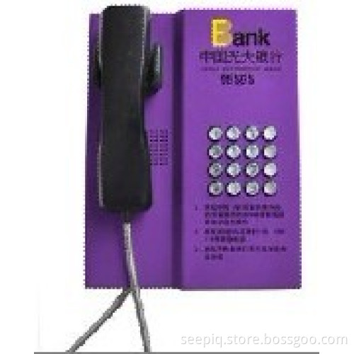 Inmate phone